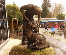 1489【2015中国优导张松摄影集】《异国风情》澳大利亚、新西兰游记！  (5)新西兰艾哥