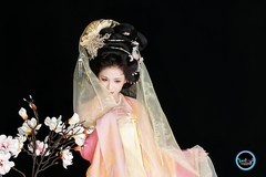 【粉衫揽玉兰】---星星