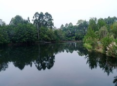 成都新津白鹤滩湿地公园掠影（一）