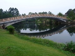 成都新津白鹤滩湿地公园掠影（一）