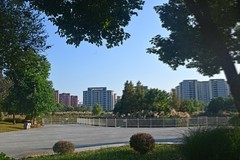 江东水生态湿地公园（续）