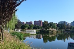 江东水生态湿地公园（续）