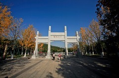 晚秋——佛慧山风光