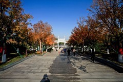 晚秋——佛慧山风光