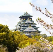 樱花掩映的大阪城！