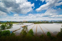 香格里拉到西双版纳沿途风景78