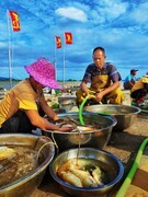 渔民码头-假日沙滩