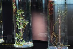 参观广东中医药博物馆（一组高感照片）