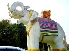 西双版纳”告庄“点滴