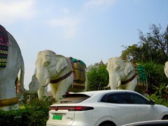 西双版纳”告庄“点滴