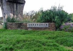 成都新津白鹤滩湿地公园掠影（二）