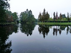 成都新津白鹤滩湿地公园掠影（二）