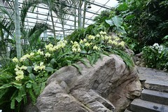 中科院中山植物园北温房