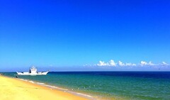 1495【2015中国优导张松摄影集】《异国风情》澳大利亚、新西兰游记！  (11)新西兰布鲁