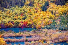 外出随拍（759）.