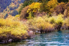 外出随拍（759）.