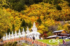 外出随拍（759）.