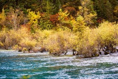 外出随拍（760）.