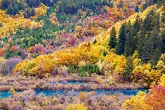 外出随拍（760）.