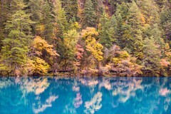 外出随拍（760）.