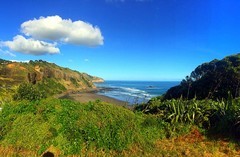 1494【2015中国优导张松摄影集】《异国风情》澳大利亚、新西兰游记！  (10)新西兰奥克