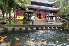 重庆北碚缙云寺1