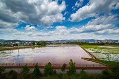 香格里拉到西双版纳沿途风景79