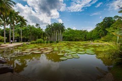 西双版纳热带植物园5