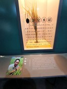 漫步星城 （1115）“稻米香万年”