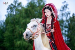【白马惊鸿】---婉灵