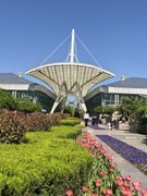 植物园手机随拍一组---请假帖