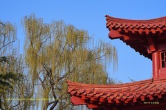 明水古城随影(三）