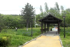 湿地公园走拍