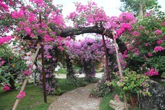 晟欣花园