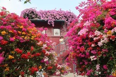 晟欣花园