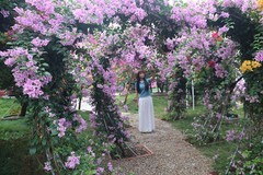 晟欣花园
