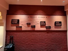 漫步星城 （916）相隔八千里  仿佛在新疆