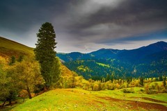那拉提草原风景 10
