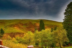 那拉提草原风景 10