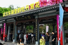 东湖牡丹园（一）