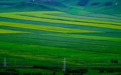 旅途中一一行走在国道G331中俄边境线上