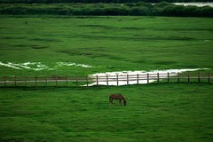 旅途中一一行走在国道G331中俄边境线上