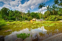 西双版纳热带植物园6