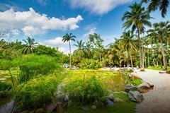 西双版纳热带植物园6