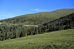 新疆游/独库公路（56）