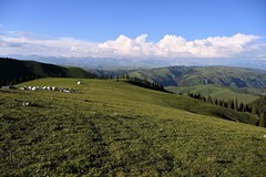 新疆游/独库公路（56）