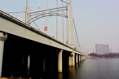 太子河畔随拍（续）