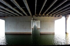 太子河畔随拍（续）