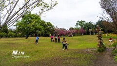 成都植物园（2）