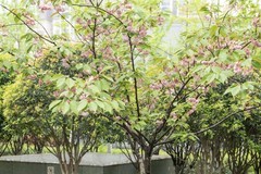 庐州印象（643）地铁站的风景